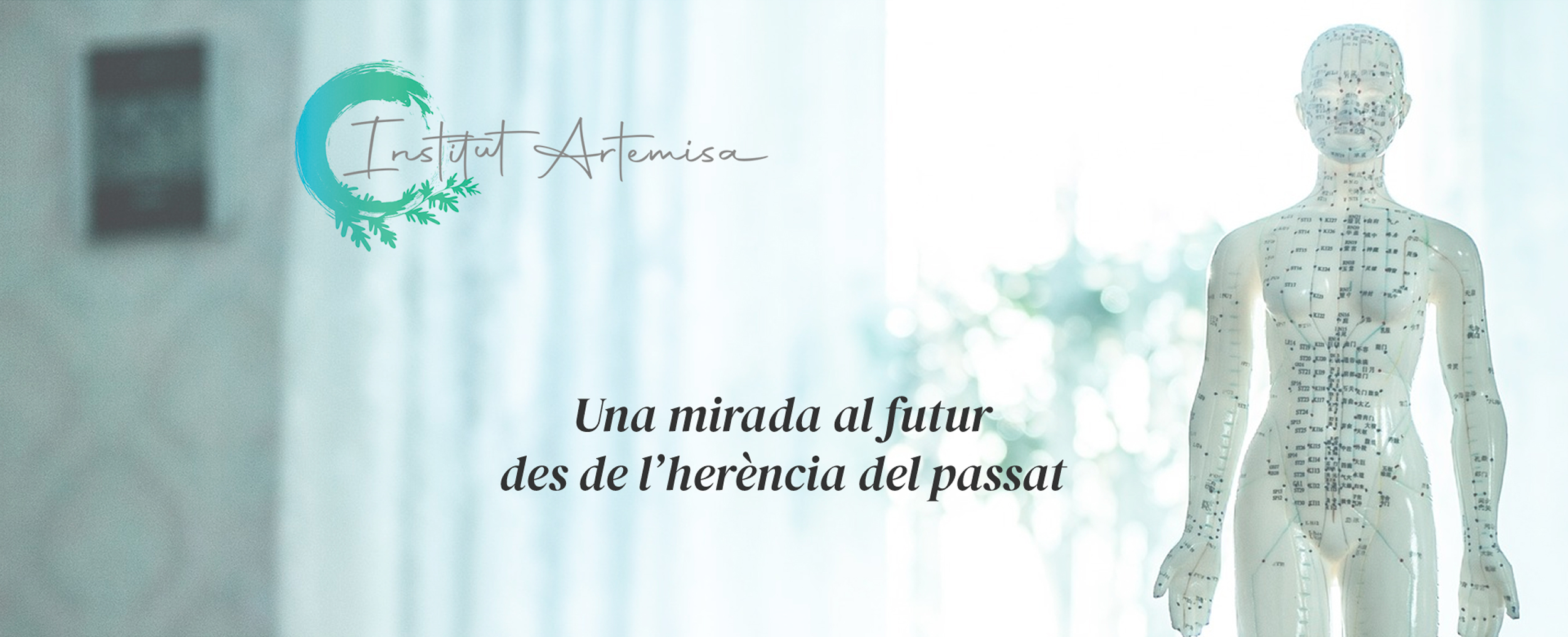 Institut Artemisa